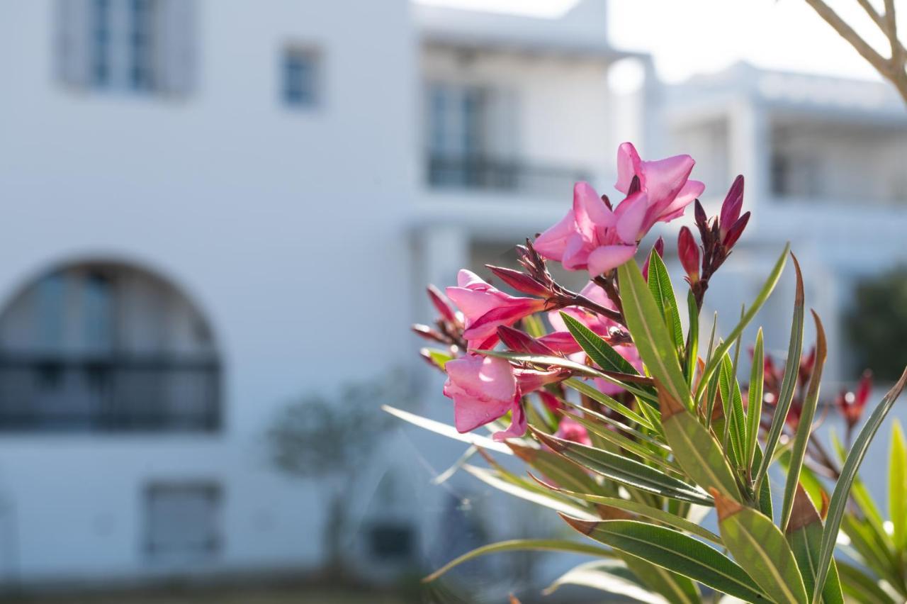 Sea Lilies Suites Pláka Buitenkant foto